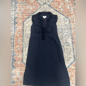Ann Taylor Loft Lined Side Zip Navy Sleeveless Dress Ruffles Preppy Size 2